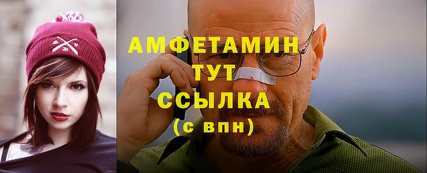 прущие грибы Вязьма